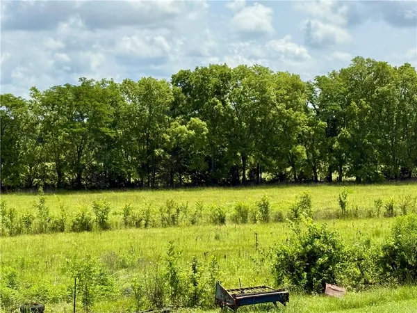 $450,000 | 0 Robinson Bridge Road, Lecompte, LA 71346