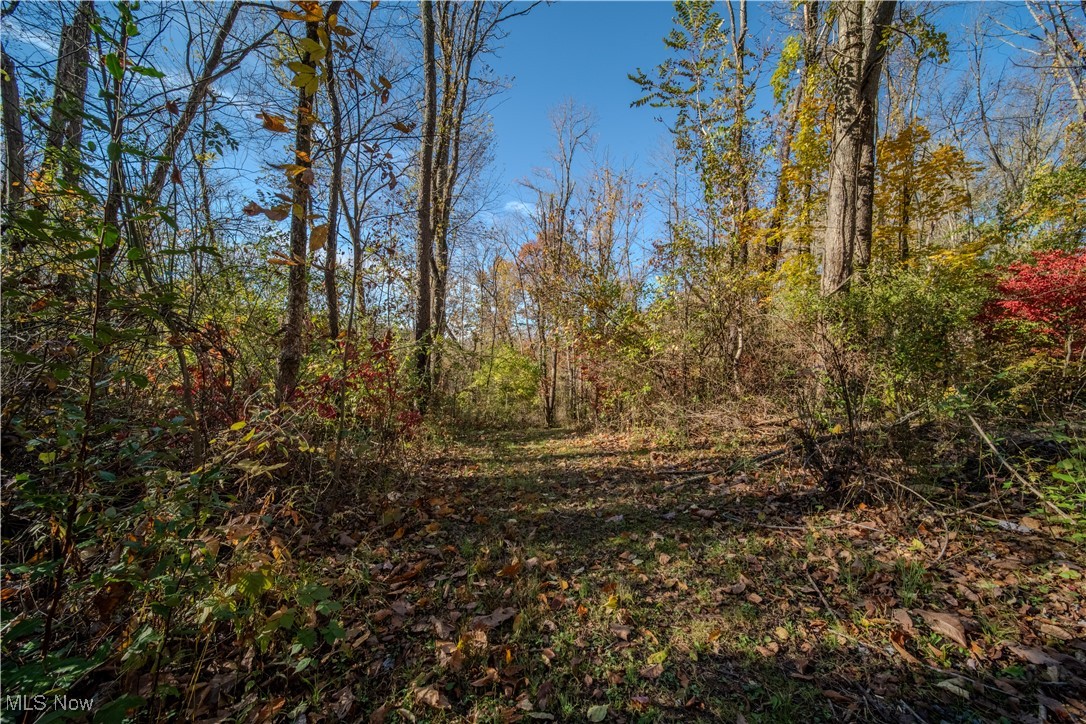 1410 Saxe Road Mogadore, OH 44260 - Photo 12 of 12 Gallery Image 12