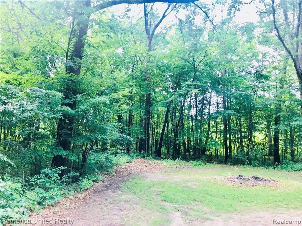 20911 Barton Road Pinckney, MI 48169 - Photo 3 of 13 3A507DF8-3976-4406-B2F5-4873784C2716.jpeg