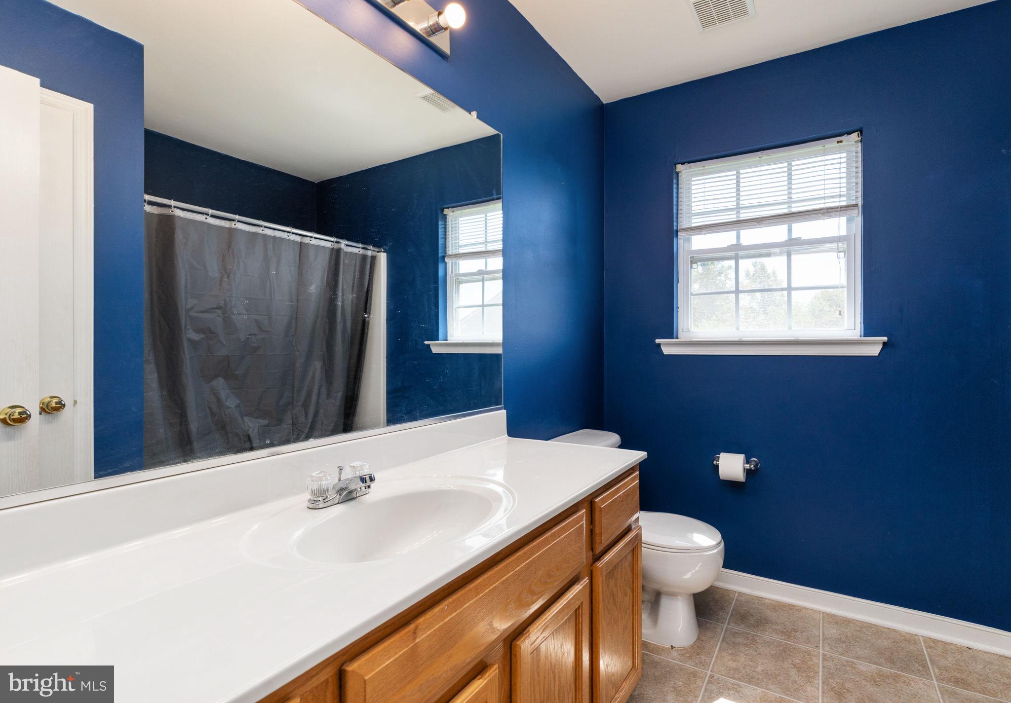 202 Cardinal Road Louisa, VA 23093 - Photo 31 of 38 Shared Full Bath