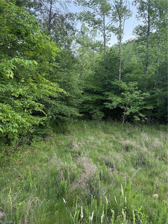 0 Puckett Road Westfield, NC 27053 - Photo 5 of 7
