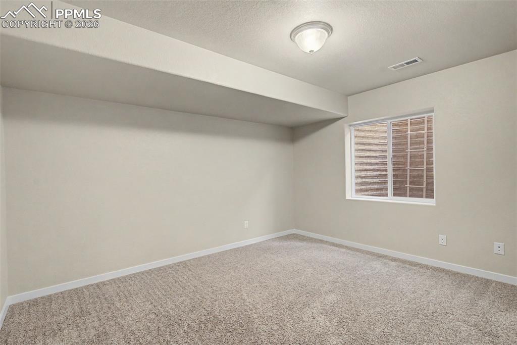 2584 Reed Grass Way Colorado Springs, CO 80915 - Photo 21 of 30 Basement Bedroom