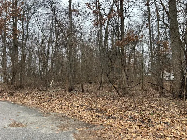 a backyard of a house with lots of trees