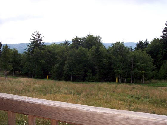 47 Powderidge Road, Unit 41 Snowshoe, WV 26209 - Photo 18 of 19 Gallery Image 18