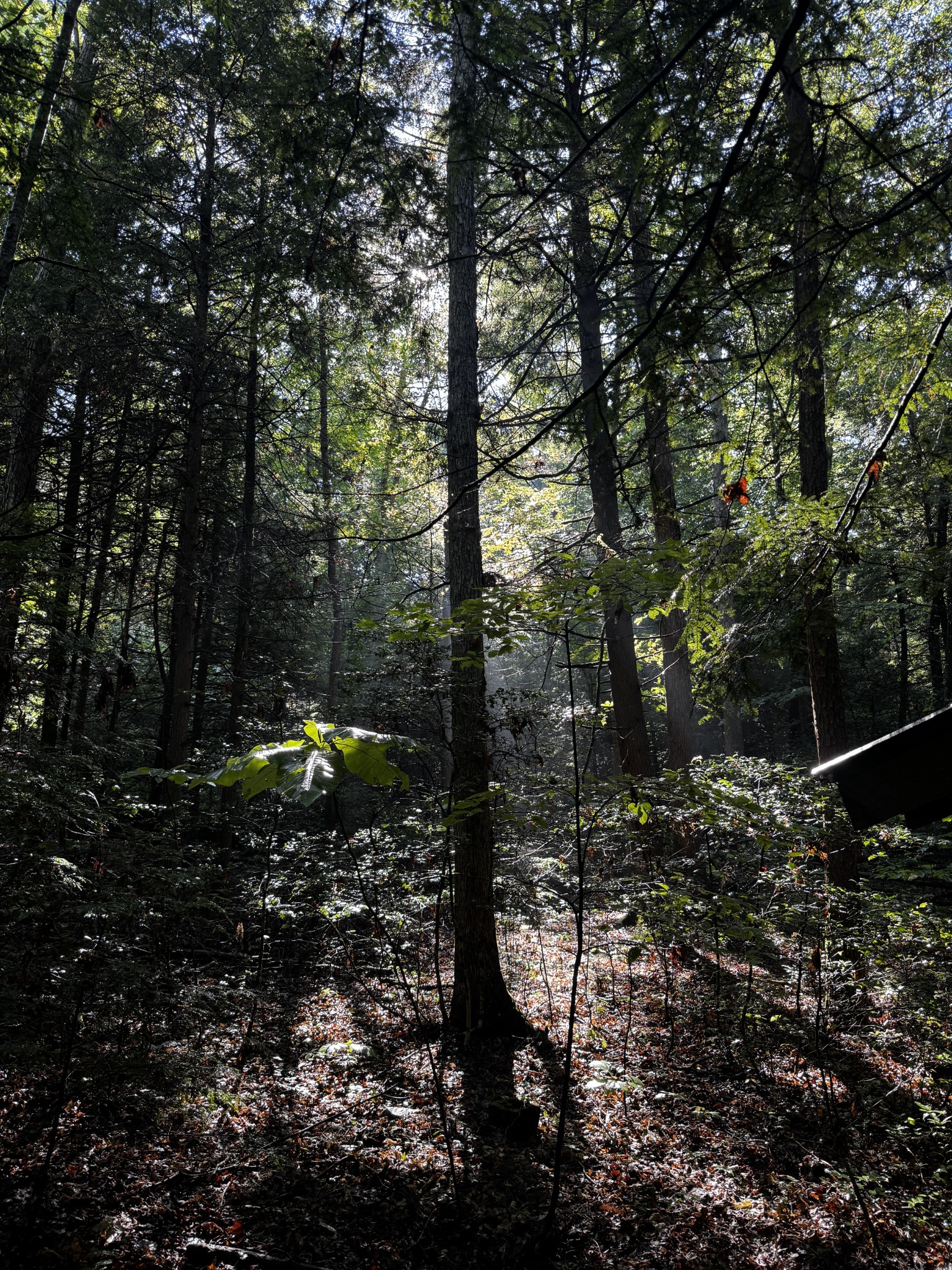 1475 Campground Road Clarkrange, TN 38553 - Photo 26 of 31 Gallery Image 26