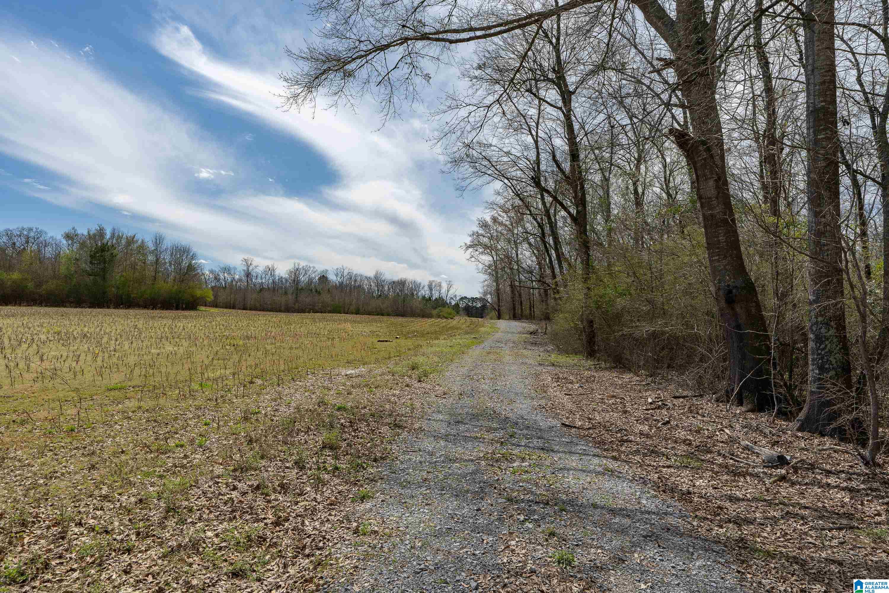 Bates Road, Unit 100 Vincent, AL 35178 - Photo 23 of 29