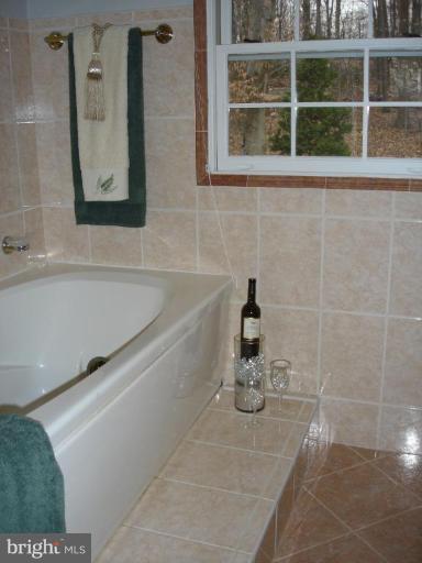 7402 Maple Branch Road Clifton, VA 20124 - Photo 17 of 27 MASTER BATH