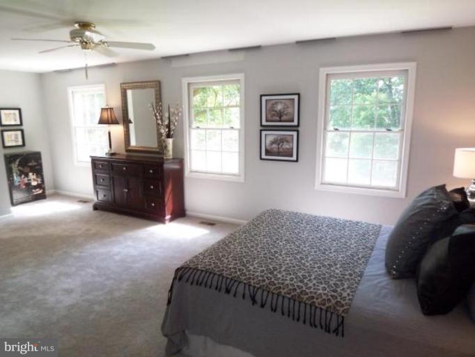 7402 Maple Branch Road Clifton, VA 20124 - Photo 26 of 27 Master bedroom