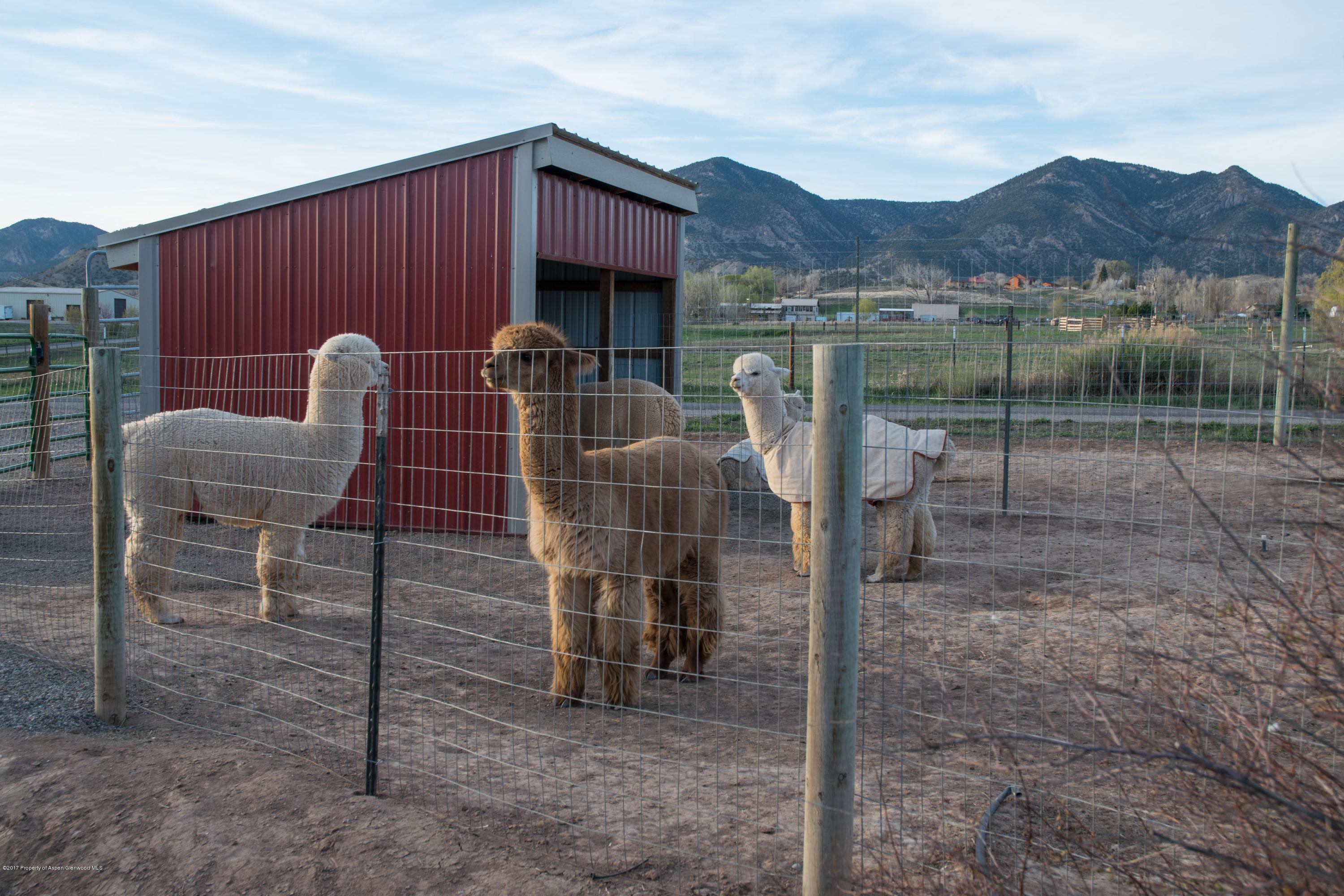 84 Lariat Road Silt, CO 81652 - Photo 28 of 30 ELPACK