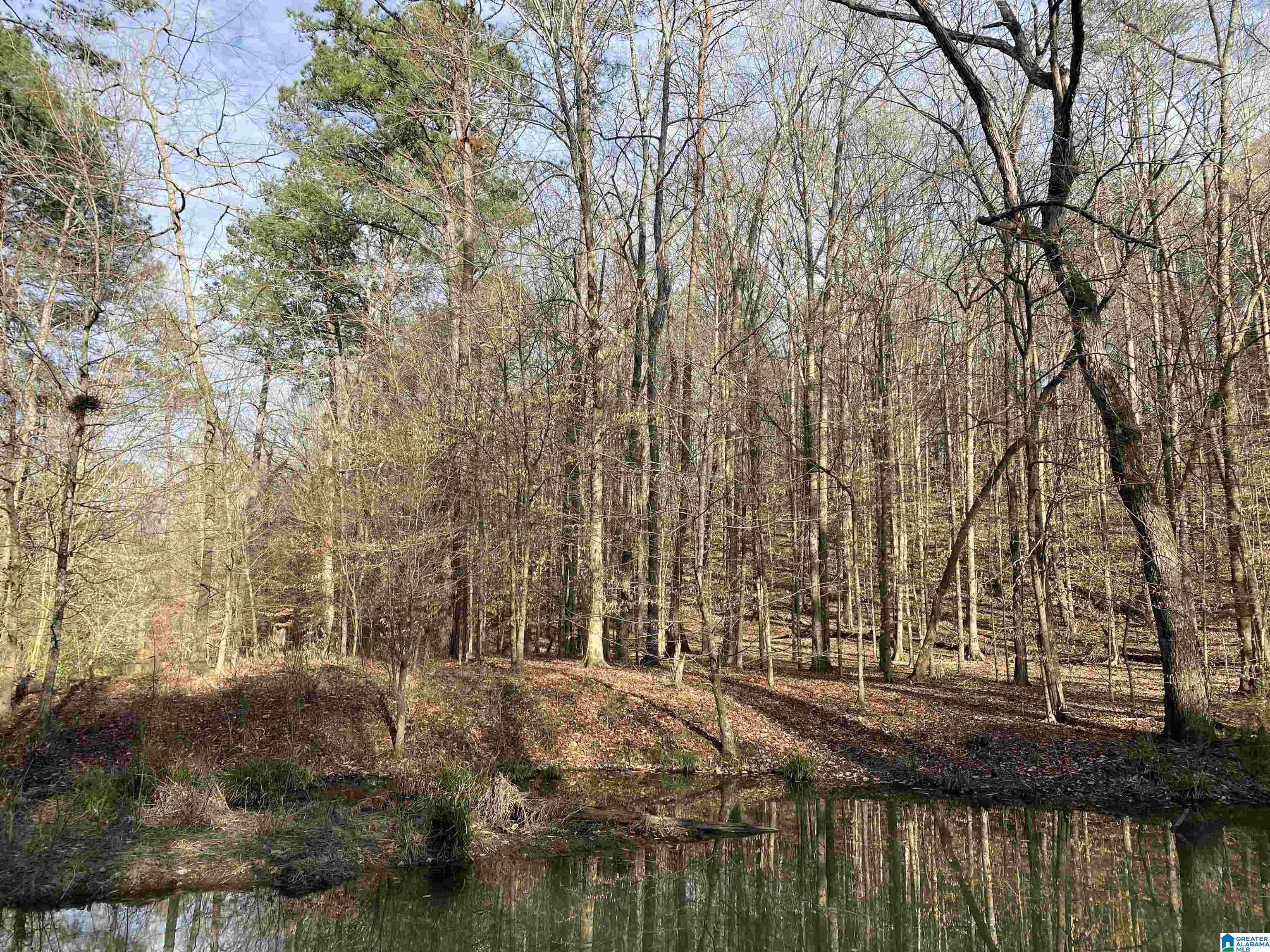6388 Letson Lake Road, Unit 1 Bessemer, AL 35023 - Photo 16 of 20