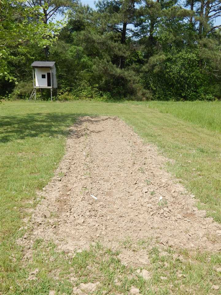 7461 Ebenezer Road Carthage, MS 39051 - Photo 36 of 38 Plant your own Garden!!