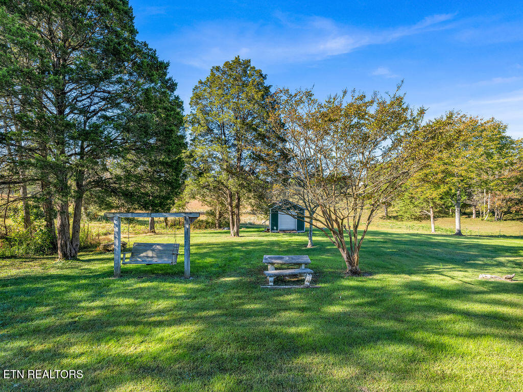 5917 Roberts Road Corryton, TN 37721 - Photo 25 of 33 backyard
