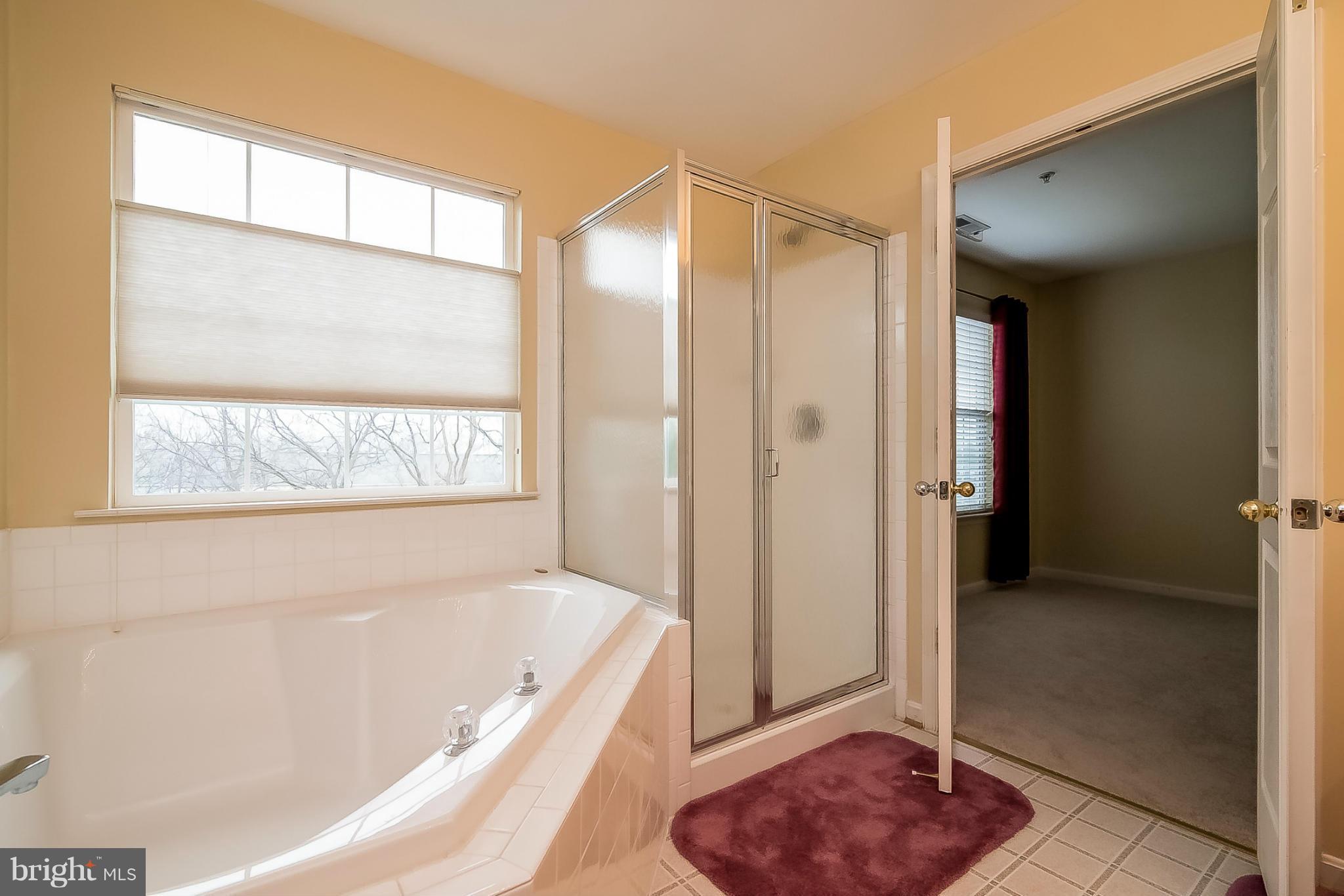 617 Open Meadow Road Frederick, MD 21703 - Photo 18 of 28 Bath (Master)