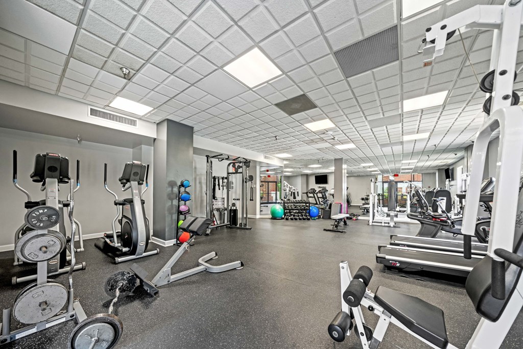 385 Ralph McGill Boulevard Northeast Atlanta, GA 30312 - Photo 29 of 43