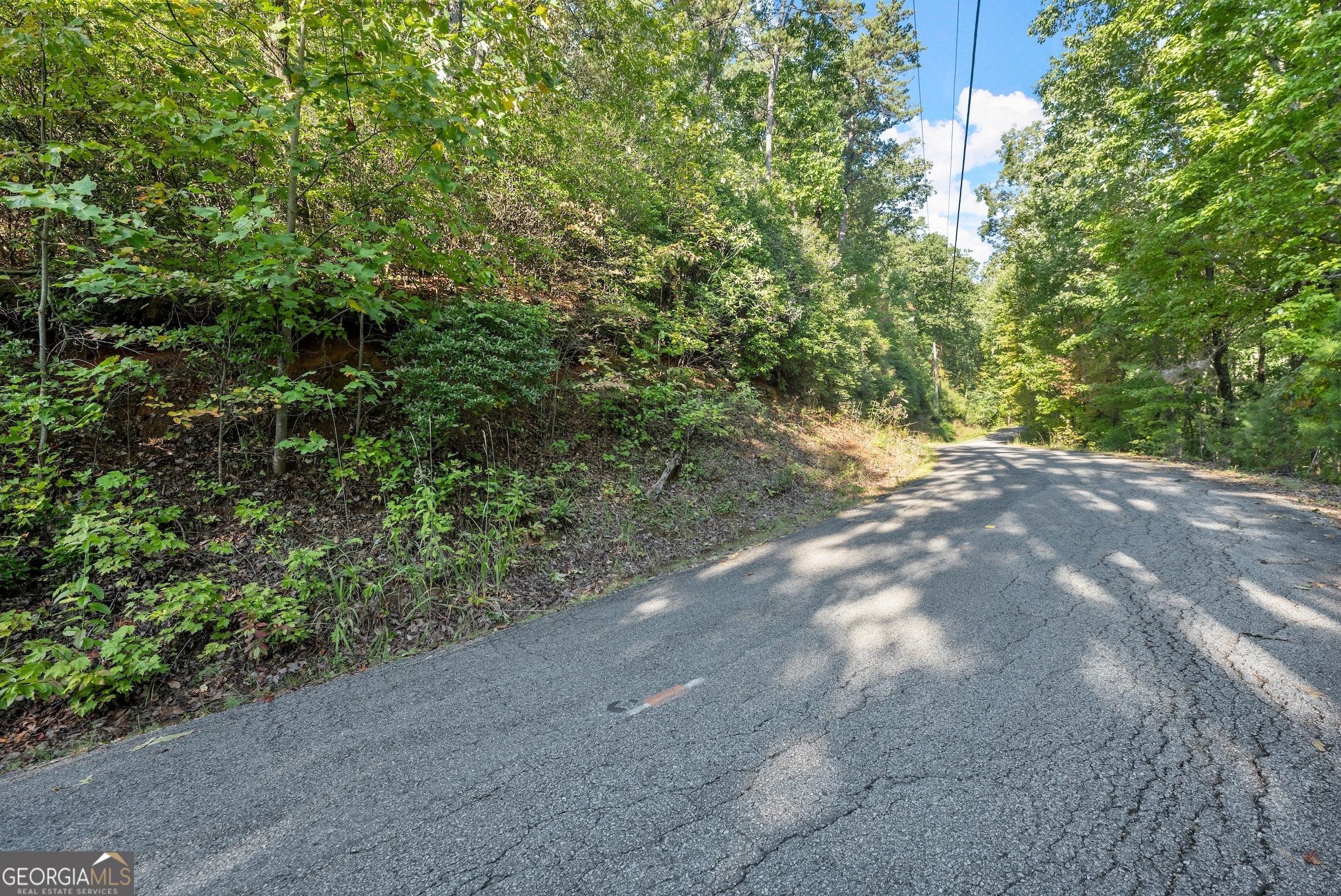 0 Daybreak Road Cleveland, GA 30528 - Photo 2 of 12