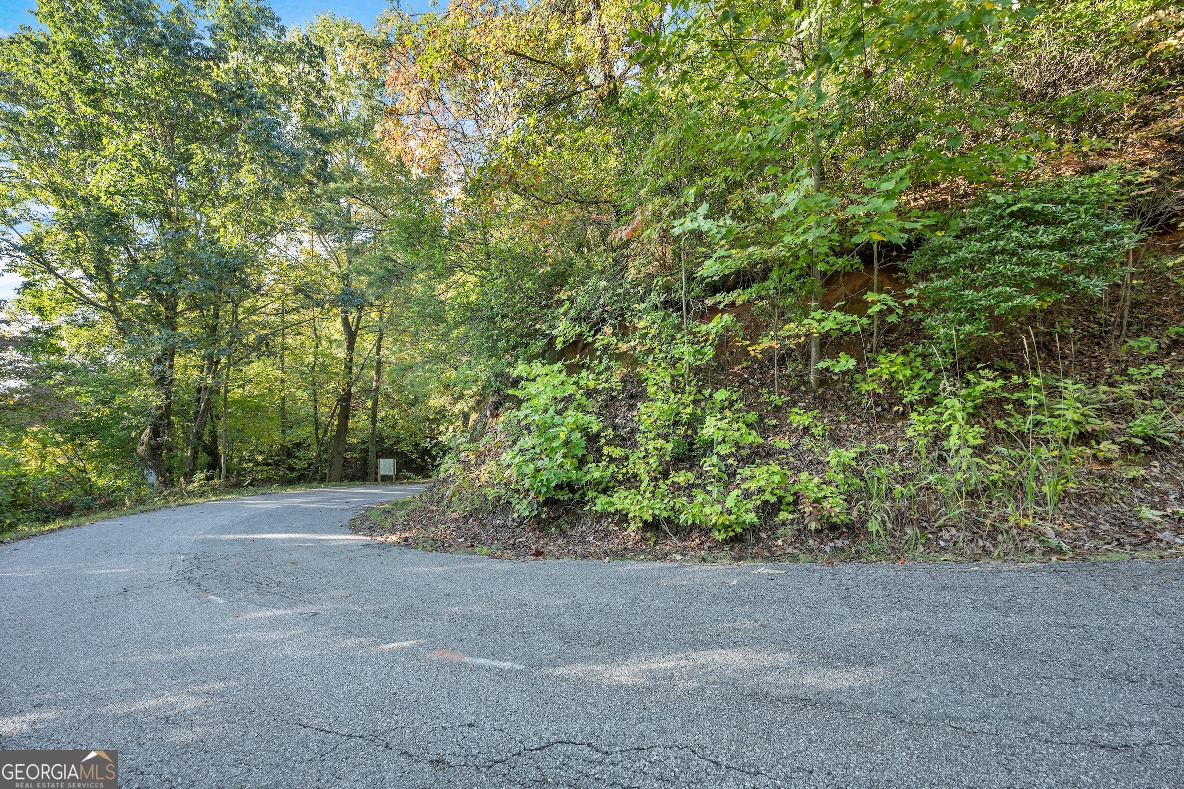 0 Daybreak Road Cleveland, GA 30528 - Photo 6 of 12