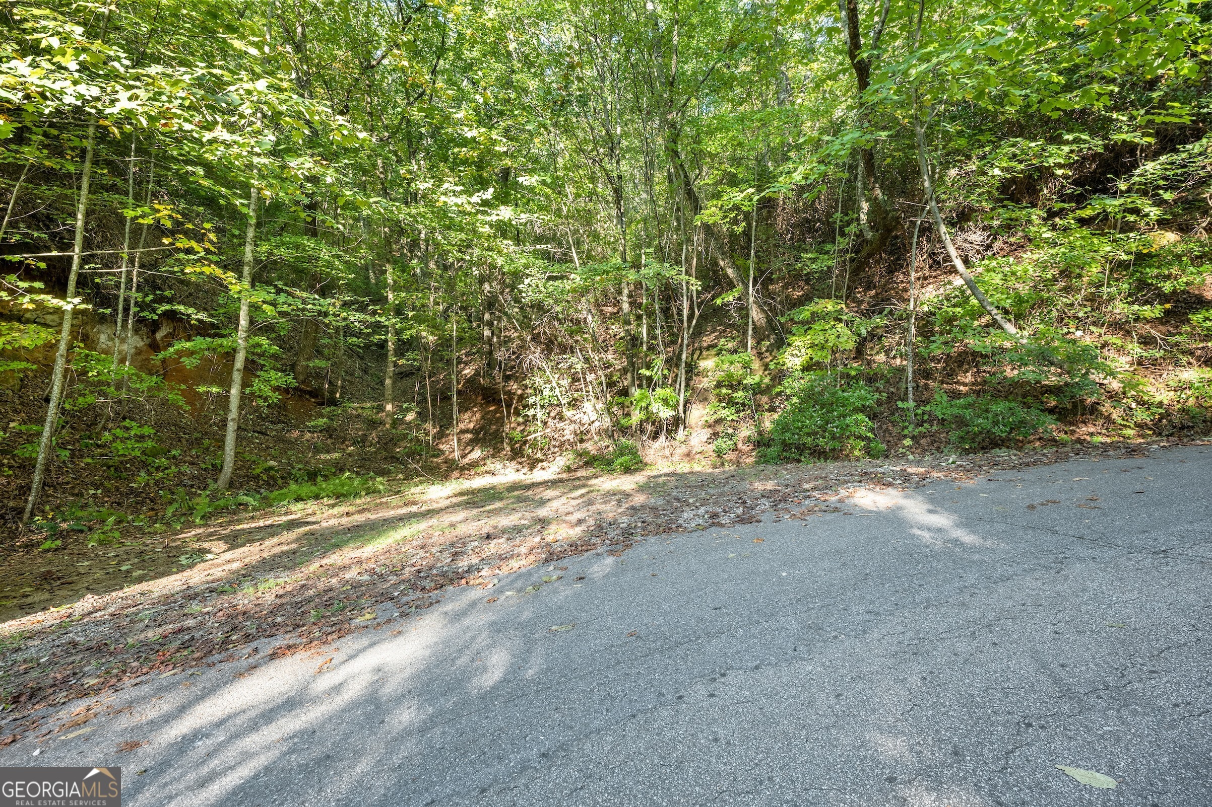 0 Daybreak Road Cleveland, GA 30528 - Photo 7 of 12