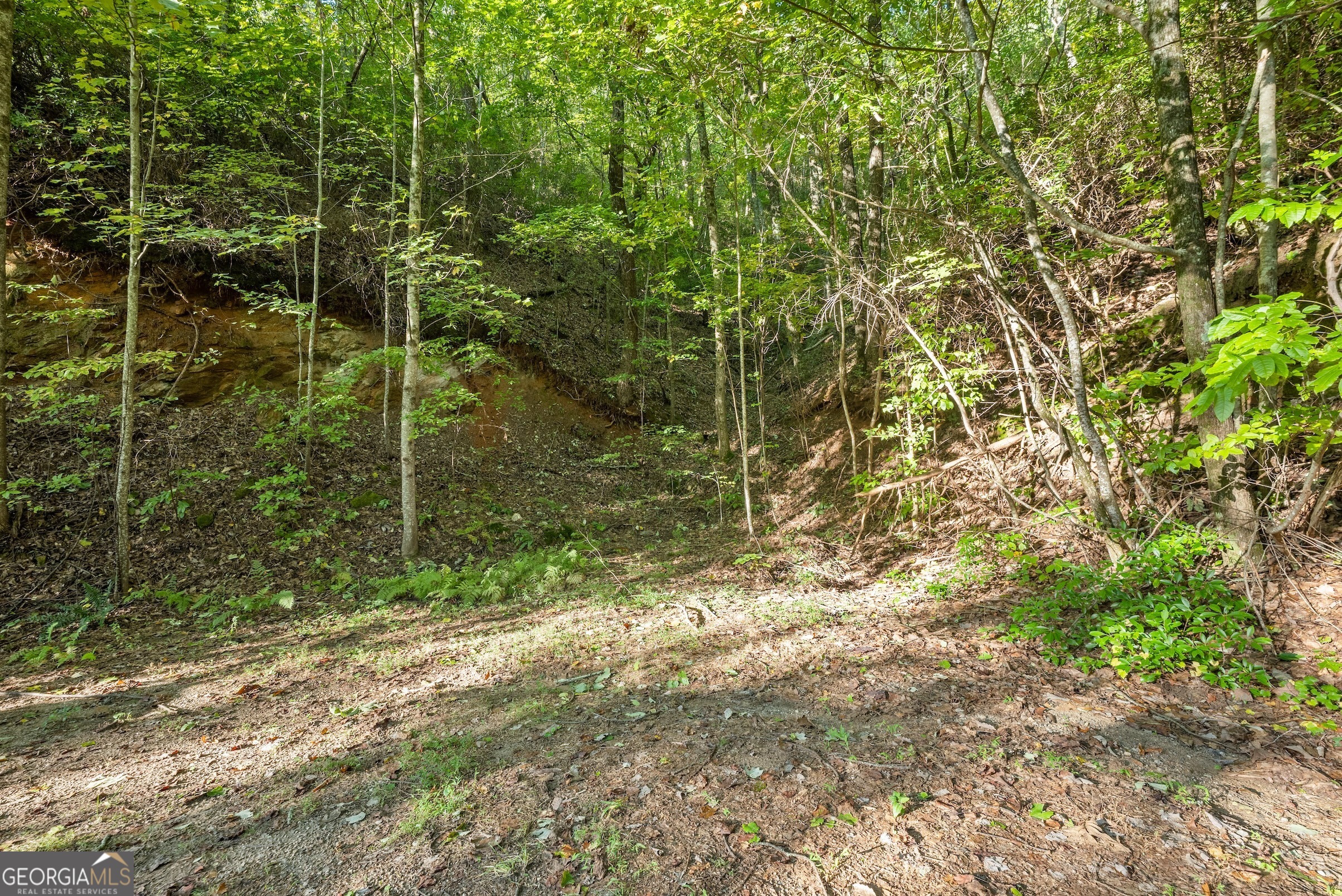 0 Daybreak Road Cleveland, GA 30528 - Photo 8 of 12