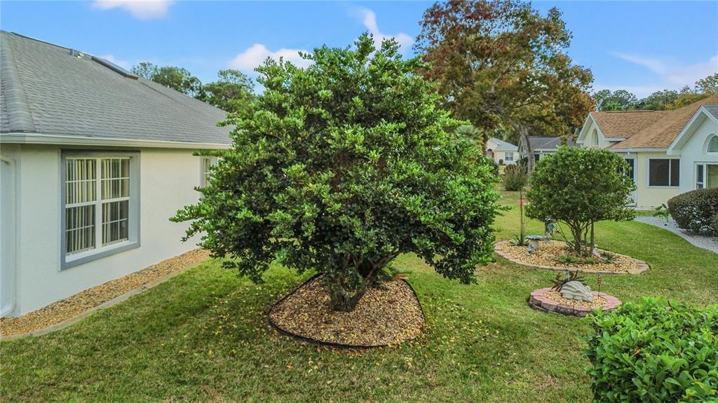 6758 Southwest 114th Street Road Ocala, FL 34476 - Photo 51 of 71 Gallery Image 51