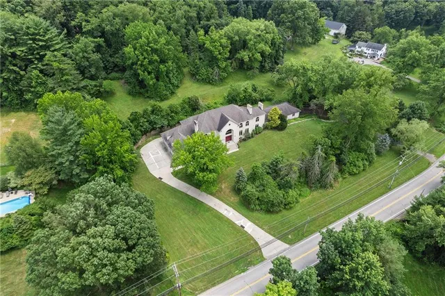 a view of a garden with a wooden bridge