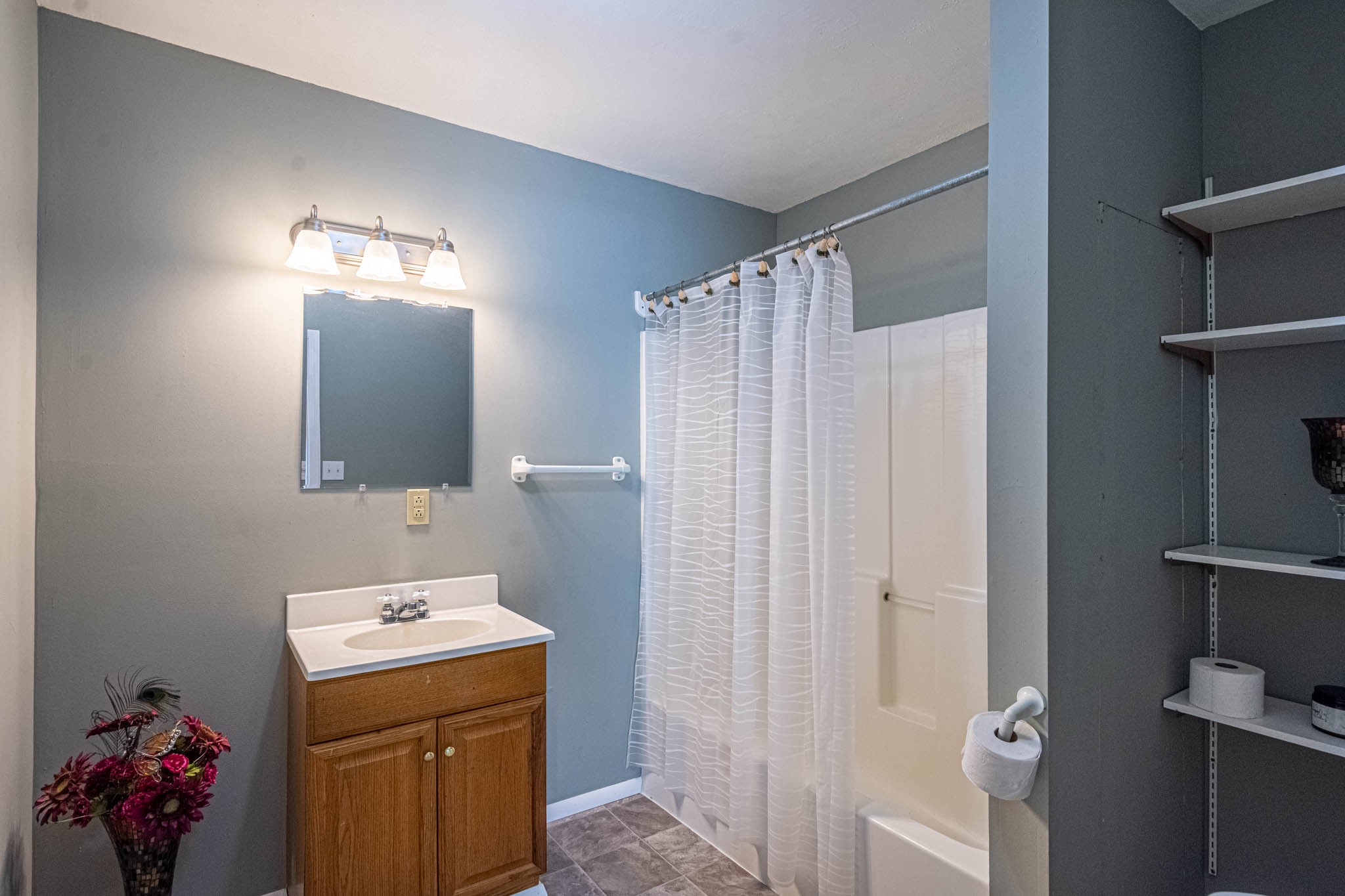 31312 Ardmore Ridge Road Ardmore, TN 38449 - Photo 54 of 57 a bathroom with a sink vanity and a mirror