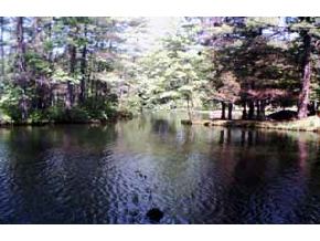 34 Circle Point Road Sanbornton, NH 03269 - Photo 3 of 7