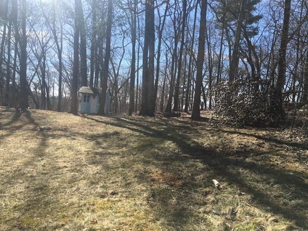 14 McAdams Road Framingham, MA 01701 - Photo 2 of 15 a view of outdoor space with trees