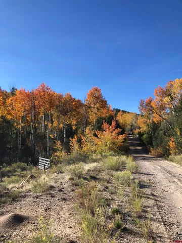 a view of a yard with wooden fence