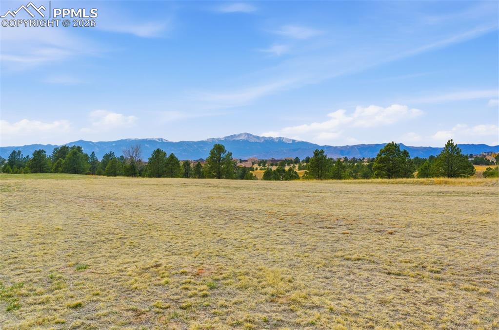 7573 Rannoch Moor Way Colorado Springs, CO 80908 - Photo 11 of 14