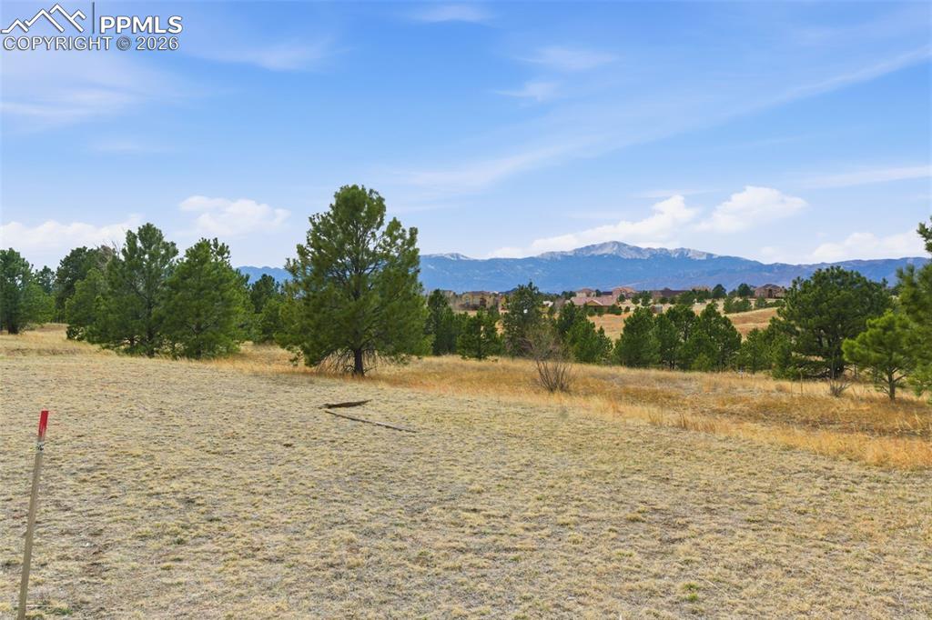 7573 Rannoch Moor Way Colorado Springs, CO 80908 - Photo 2 of 14