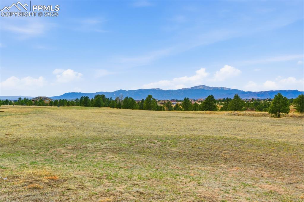 7573 Rannoch Moor Way Colorado Springs, CO 80908 - Photo 3 of 14