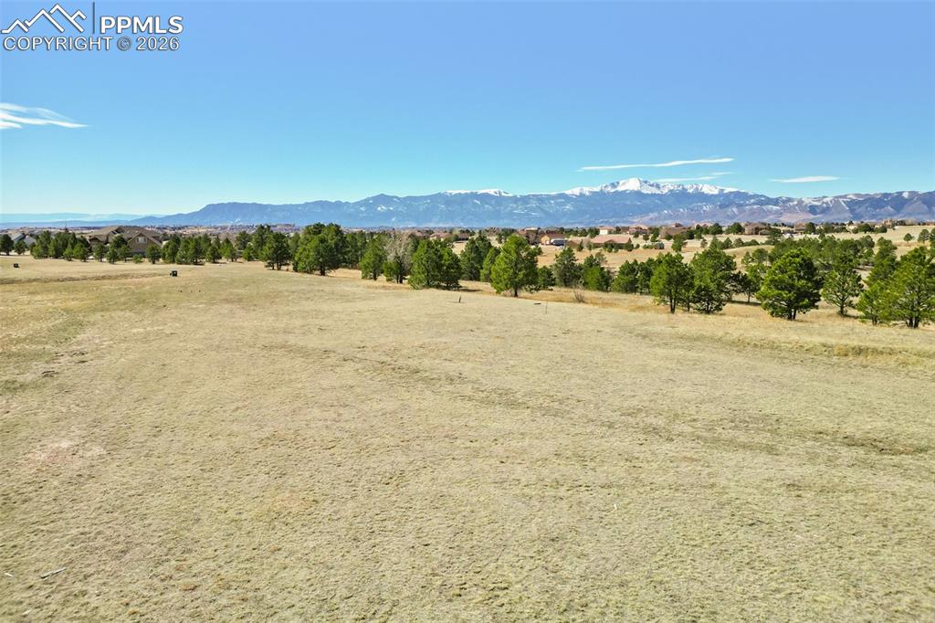 7573 Rannoch Moor Way Colorado Springs, CO 80908 - Photo 5 of 14