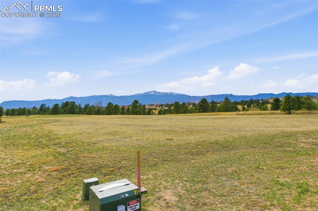 7573 Rannoch Moor Way Colorado Springs, CO 80908 - Photo 10 of 14