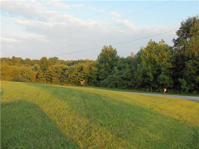 0 New Chapel Road Springfield, TN 37172 - Photo 1 of 6 a view of a field with an ocean view