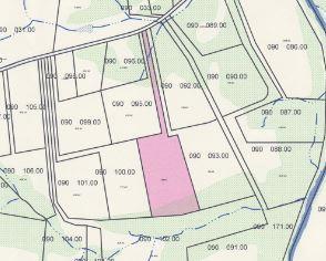 0 New Chapel Road Springfield, TN 37172 - Photo 3 of 6