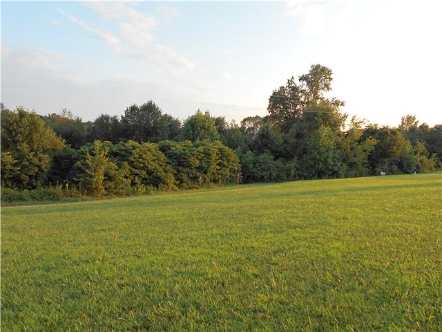 0 New Chapel Road Springfield, TN 37172 - Photo 4 of 6 a view of a field with an ocean