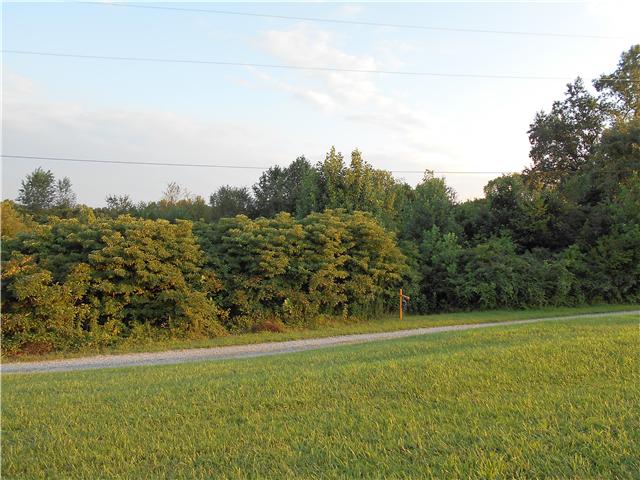 0 New Chapel Road Springfield, TN 37172 - Photo 6 of 6 a view of a field with an trees