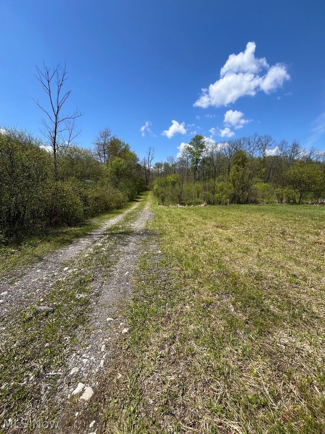 17990 Snyder Road Chagrin Falls, OH 44023 - Photo 4 of 21