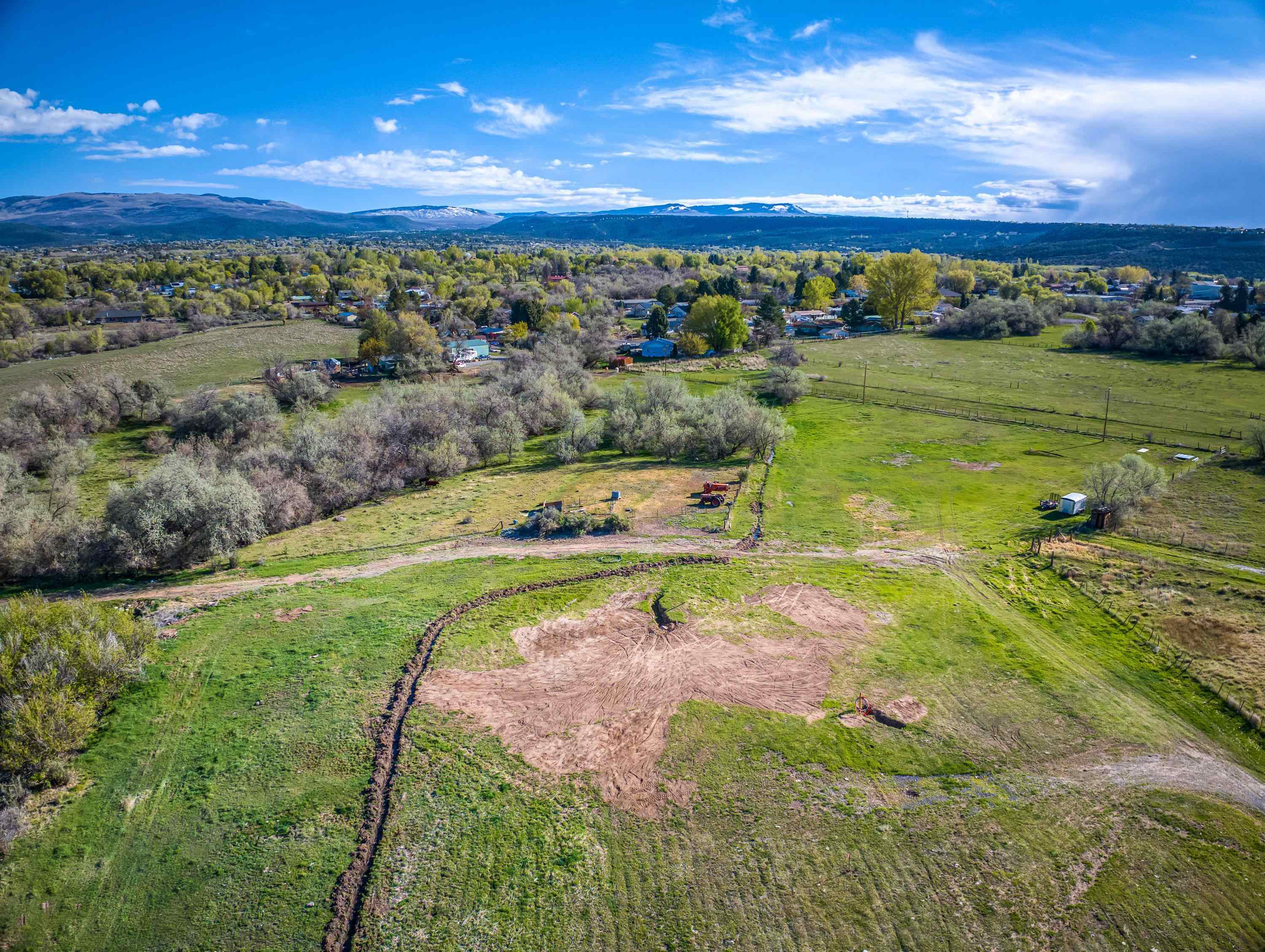 1010 Southwest 11th Avenue Cedaredge, CO 81413 - Photo 1 of 28