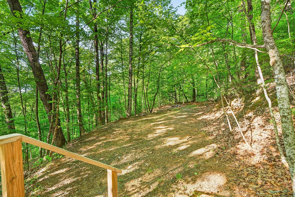 93 Martin Crossing Cherry Log, GA 30522 - Photo 31 of 32
