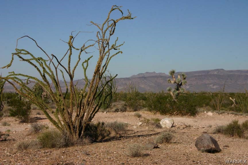 Lot I14 Suzette Road Yucca, AZ 86438 - Photo 26 of 32 Gallery Image 26