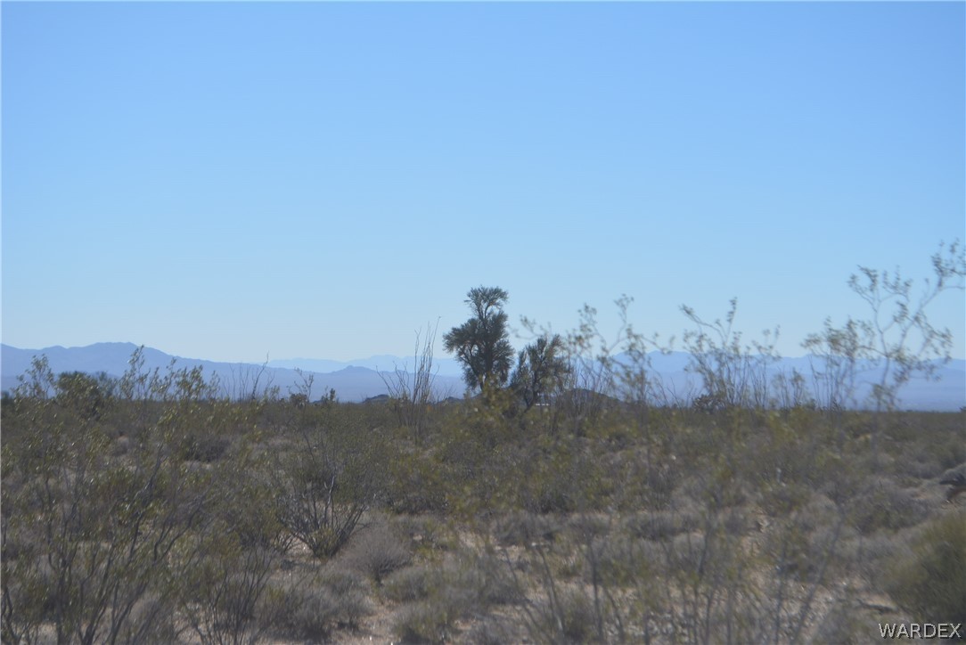 Lot I14 Suzette Road Yucca, AZ 86438 - Photo 9 of 32 Gallery Image 9