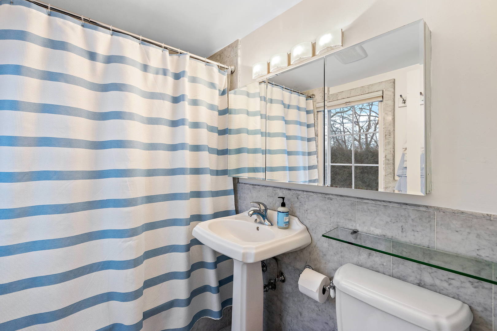 1207 Raleigh Road Glenview, IL 60025 - Photo 22 of 31 a bathroom with a sink toilet a mirror and shower curtain