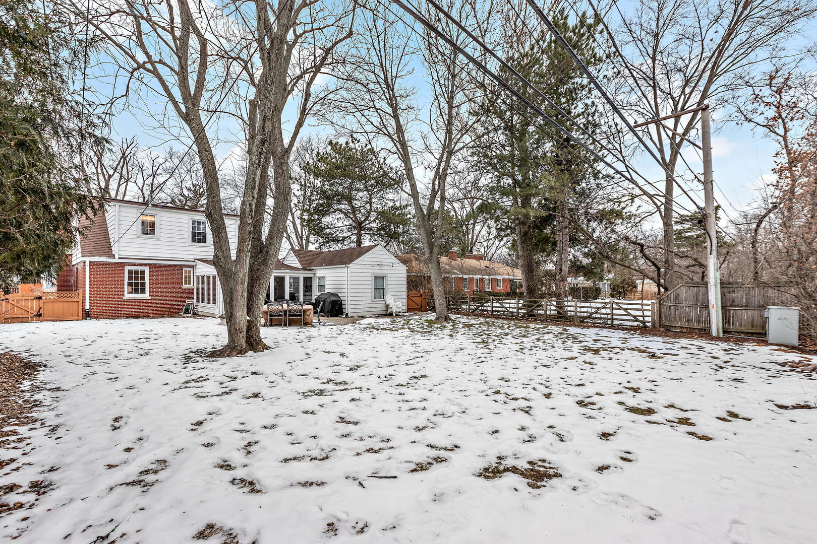 1207 Raleigh Road Glenview, IL 60025 - Photo 25 of 31 a large tree in front of a white house