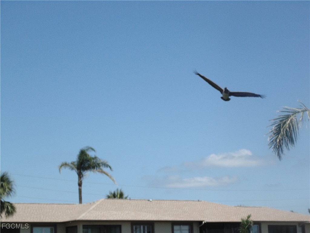16007 Davis Road, Unit 224 Fort Myers, FL 33908 - Photo 28 of 28