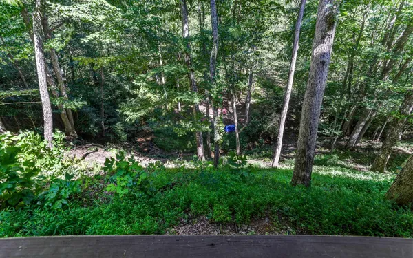 $475,900 | 76 Hollyanne Pond, Hayesville, NC 28904