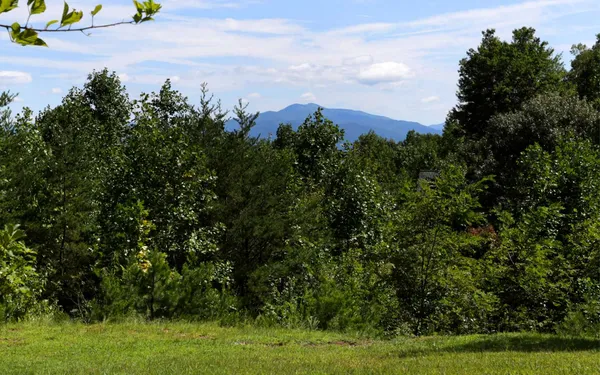 $475,900 | 76 Hollyanne Pond, Hayesville, NC 28904