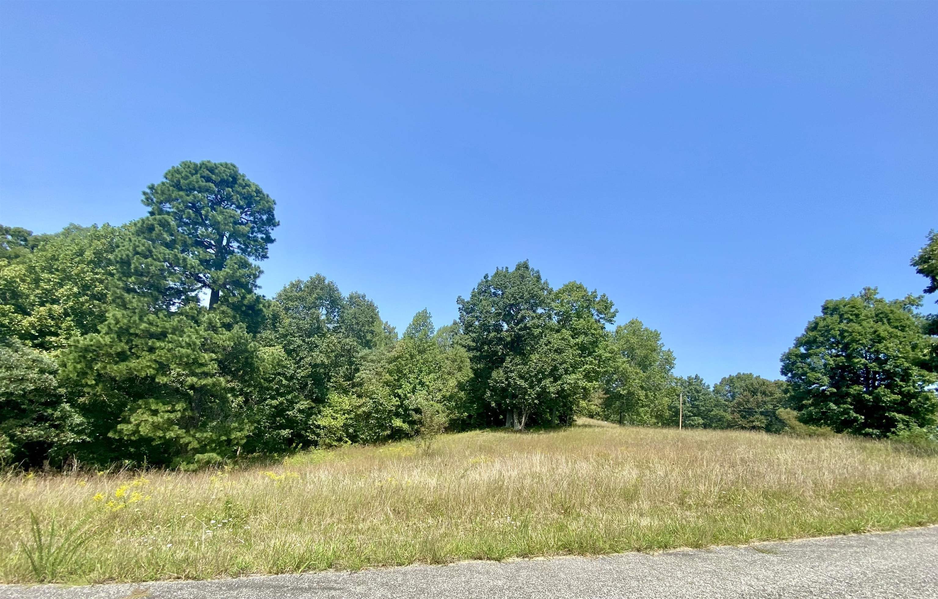 0 Hammer Mill Road Greenup, KY 41144 - Photo 5 of 7
