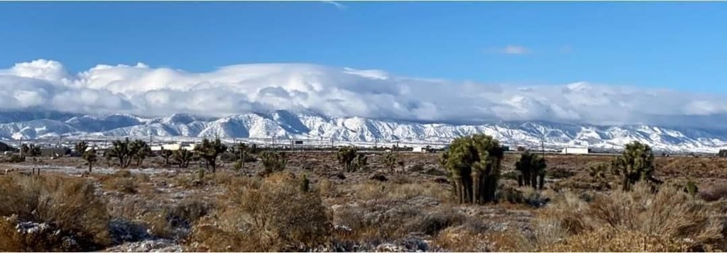 11999 Wintergreen Road Pinon Hills, CA 92372 - Photo 1 of 1 Gallery Image 1