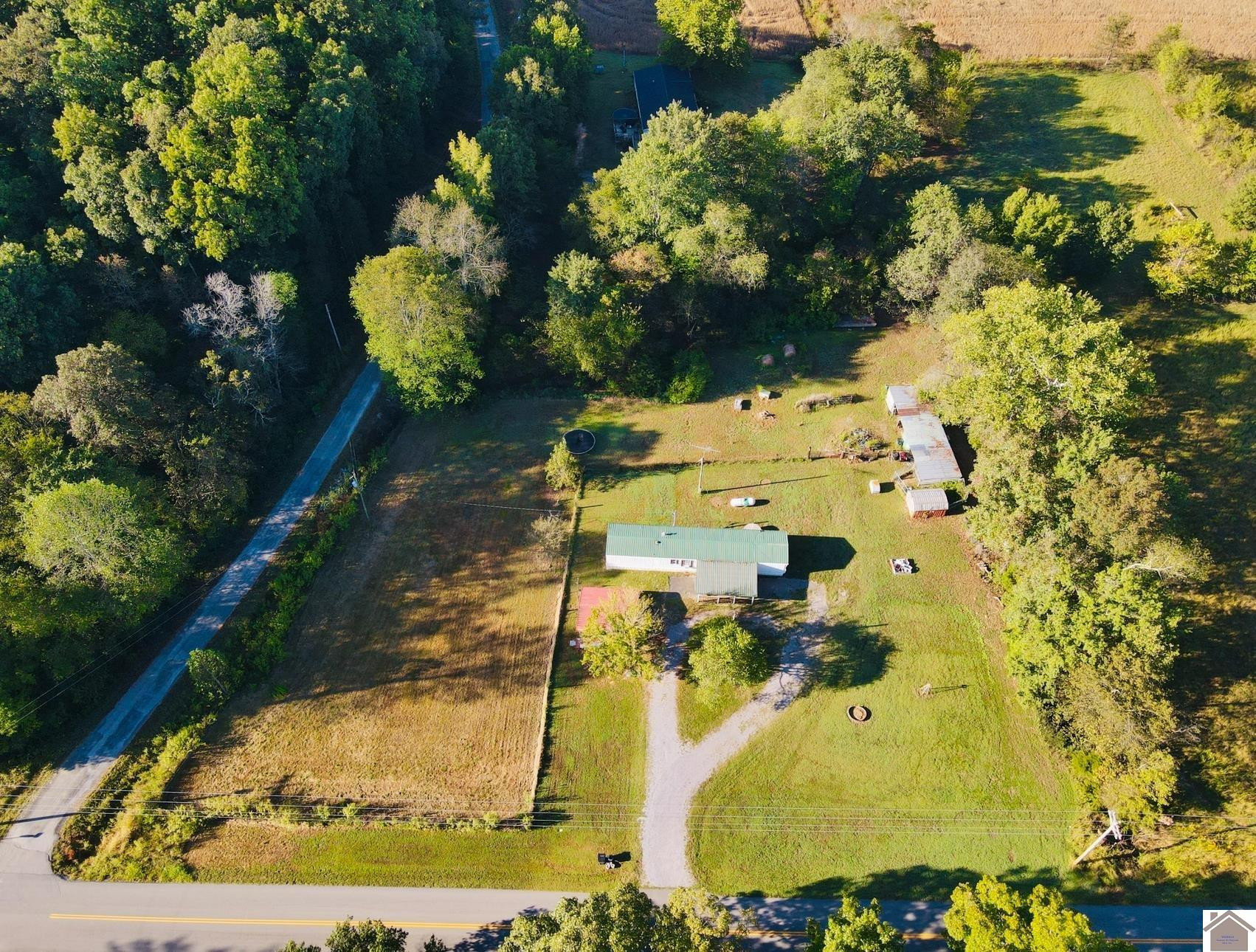 895 Green Valley Road Dexter, KY 42036 - Photo 7 of 34 Photo 7